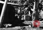 Standbild 804th Aviation Ingenieure Wiederaufbau Aslito Flugplatz Saipan Marianen, 1944, aus Sekunde 15 historischem Filmmaterial Videoclip 65675047537