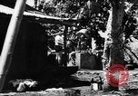 Standbild 804th Aviation Ingenieure Wiederaufbau Aslito Flugplatz Saipan Marianen, 1944, aus Sekunde 16 historischem Filmmaterial Videoclip 65675047537