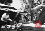 Standbild 804th Aviation Ingenieure Wiederaufbau Aslito Flugplatz Saipan Marianen, 1944, aus Sekunde 23 historischem Filmmaterial Videoclip 65675047537