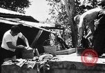 Standbild 804th Aviation Ingenieure Wiederaufbau Aslito Flugplatz Saipan Marianen, 1944, aus Sekunde 25 historischem Filmmaterial Videoclip 65675047537