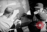 Image of US Army Air Forces 318th Fighter Group P-47 aircraft  Aslito Airfield Saipan Mariana Islands, 1944, second 61 stock footage video 65675047544