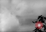 Standbild 19 USAAF Fighter Squadron P-47s der gegnerischen Insel Tinian Insel Tinian Marianen, 1945, aus Sekunde 27 historischem Filmmaterial Videoclip 65675047547