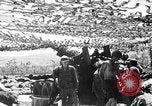 Standbild Schlacht von Tinian Island in Zweiten Weltkrieg Insel Tinian Marianen, 1944, aus Sekunde 24 historischem Filmmaterial Videoclip 65675047549
