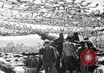 Standbild Schlacht von Tinian Island in Zweiten Weltkrieg Insel Tinian Marianen, 1944, aus Sekunde 25 historischem Filmmaterial Videoclip 65675047549