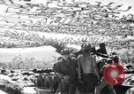 Standbild Schlacht von Tinian Island in Zweiten Weltkrieg Insel Tinian Marianen, 1944, aus Sekunde 26 historischem Filmmaterial Videoclip 65675047549
