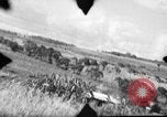 Standbild 318 USAAF Fighter Gruppe P-47s in der Schlacht von Tinian Insel Tinian Marianen, 1944, aus Sekunde 52 historischem Filmmaterial Videoclip 65675047551