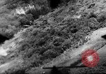 Standbild 318 USAAF Fighter Gruppe P-47s in der Schlacht von Tinian Insel Tinian Marianen, 1944, aus Sekunde 53 historischem Filmmaterial Videoclip 65675047551