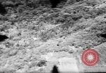 Standbild 318 USAAF Fighter Gruppe P-47s in der Schlacht von Tinian Insel Tinian Marianen, 1944, aus Sekunde 57 historischem Filmmaterial Videoclip 65675047551