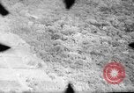 Standbild 318 USAAF Fighter Gruppe P-47s in der Schlacht von Tinian Insel Tinian Marianen, 1944, aus Sekunde 62 historischem Filmmaterial Videoclip 65675047551