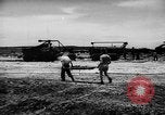 Standbild US-Kampfflugzeuge Verluste auf Saipan Saipan Marianen, 1944, aus Sekunde 44 historischem Filmmaterial Videoclip 65675047555