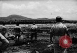 Standbild US-Kampfflugzeuge Verluste auf Saipan Saipan Marianen, 1944, aus Sekunde 45 historischem Filmmaterial Videoclip 65675047555