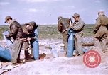 Image of A-26 Invader bombers Germany, 1945, second 28 stock footage video 65675047563