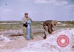 Image of A-26 Invader bombers Germany, 1945, second 56 stock footage video 65675047563