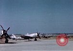 Standbild P-47 Thunderbolt Kampfflugzeugen Deutschland, 1945, aus Sekunde 55 historischem Filmmaterial Videoclip 65675047567
