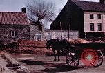 Immagine di Due civili Germania, 1945, secondo 6 filmato di repertorio 65675047571