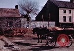 Immagine di Due civili Germania, 1945, secondo 7 filmato di repertorio 65675047571