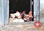 Immagine di Due civili Germania, 1945, secondo 53 filmato di repertorio 65675047571