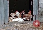 Immagine di Due civili Germania, 1945, secondo 54 filmato di repertorio 65675047571