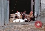 Immagine di Due civili Germania, 1945, secondo 55 filmato di repertorio 65675047571