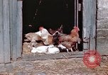 Immagine di Due civili Germania, 1945, secondo 56 filmato di repertorio 65675047571