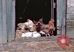 Immagine di Due civili Germania, 1945, secondo 58 filmato di repertorio 65675047571