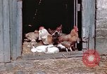 Immagine di Due civili Germania, 1945, secondo 60 filmato di repertorio 65675047571