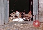 Immagine di Due civili Germania, 1945, secondo 62 filmato di repertorio 65675047571