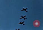 Standbild P-47 Thunderbolts wie Belgien, 1945, aus Sekunde 16 historischem Filmmaterial Videoclip 65675047575