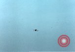 Standbild P-47 Thunderbolts wie Belgien, 1945, aus Sekunde 26 historischem Filmmaterial Videoclip 65675047575