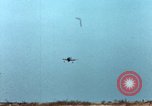 Standbild P-47 Thunderbolts wie Belgien, 1945, aus Sekunde 28 historischem Filmmaterial Videoclip 65675047575