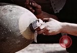 Image of P-47 Thunderbolt fighter pilot Munich Germany, 1945, second 43 stock footage video 65675047582