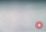 Image of strafing runs Germany, 1945, second 11 stock footage video 65675047590