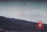 Image of strafing runs Germany, 1945, second 14 stock footage video 65675047590