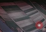 Image of strafing runs Germany, 1945, second 20 stock footage video 65675047590