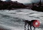Image of ground targets Germany, 1945, second 10 stock footage video 65675047593