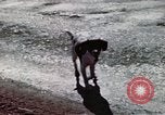 Image of ground targets Germany, 1945, second 12 stock footage video 65675047593