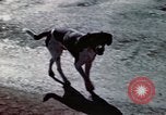 Image of ground targets Germany, 1945, second 13 stock footage video 65675047593