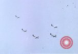 Standbild B-26 Marauder Bomber Deutschland, 1945, aus Sekunde 49 historischem Filmmaterial Videoclip 65675047597