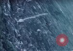 Standbild P-47 Thunderbolt Kampfflugzeugen Deutschland, 1945, aus Sekunde 14 historischem Filmmaterial Videoclip 65675047599