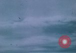 Image of P-47 Thunderbolt fighter planes Germany, 1945, second 28 stock footage video 65675047603