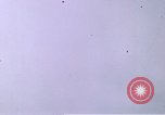 Image of P-47 Thunderbolt fighter planes Germany, 1945, second 37 stock footage video 65675047603