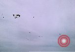 Image of P-47 Thunderbolt fighter planes Germany, 1945, second 45 stock footage video 65675047603