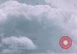Standbild P-47 Thunderbolt Kampfflugzeugen Deutschland, 1945, aus Sekunde 44 historischem Filmmaterial Videoclip 65675047604