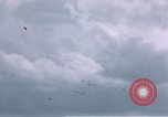 Standbild P-47 Thunderbolt Kampfflugzeugen Deutschland, 1945, aus Sekunde 58 historischem Filmmaterial Videoclip 65675047604