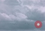 Standbild P-47 Thunderbolt Kampfflugzeugen Deutschland, 1945, aus Sekunde 60 historischem Filmmaterial Videoclip 65675047604