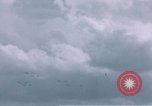 Standbild P-47 Thunderbolt Kampfflugzeugen Deutschland, 1945, aus Sekunde 62 historischem Filmmaterial Videoclip 65675047604