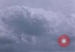 Standbild Formationen der USA Combat Aircraft Deutschland, 1945, aus Sekunde 48 historischem Filmmaterial Videoclip 65675047606