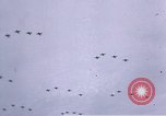 Image of P-38 Lightning fighter planes Germany, 1945, second 23 stock footage video 65675047609
