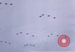 Image of P-38 Lightning fighter planes Germany, 1945, second 24 stock footage video 65675047609