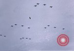 Image of P-38 Lightning fighter planes Germany, 1945, second 25 stock footage video 65675047609